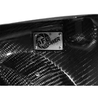 Magnum FORCE Intake System Carbon Fiber Scoops (M5 12-14)