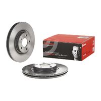 Brake Disc - Front (C30 10+) - Single Rotor Only
