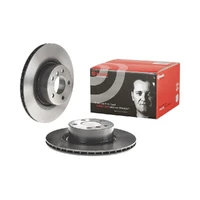 Brake Disc - Rear (X3 11+) - Single Rotor Only