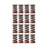 High Performance Valve Spring Set (Nissan SR20DE/DET)