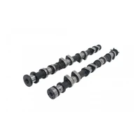 Camshaft Set (MZR VVT) - 266/276 Deg