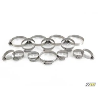 Hose Clip Kit - Boost (Focus RS 09-11)