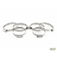 Hose Clip Kit - Induction (Focus RS 09-11)