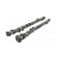Camshaft Set (TB48 DOHC Turbocharged) - 264/264 Deg
