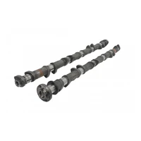 Camshaft Set (TB48 DOHC) - 292/302 Deg
