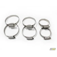 Hose Clip Kit - Boost (Focus ST 12-18)