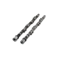 Camshaft Set (RB25 NVCS) - 262/262 Deg