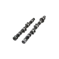 Camshaft Set (Mazda 2.3 DISI) - 252/252 Deg