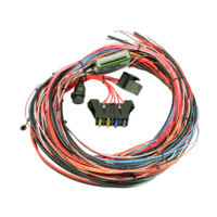EMS 4 - Mini Harness. Pre-wired for Power, Ground, CAN & USB Coms