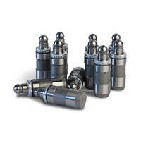 High Performance Anti Pump Up Hydraulic Lifters (Barra DOHC Engines)