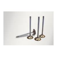 One Piece Stainless Steel Valves (Barra)