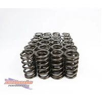 Barra Valve Springs