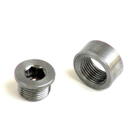 Bung + Plug Kit - Stainless Steel 1/2 inch