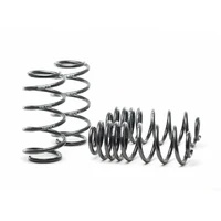 Sport Springs (Golf Mk6 GTI 10-13)