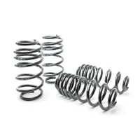 Sport Springs (Passat Wagon VR6/TDI/1.8T/2.0L 06-11) - Non 4Motion