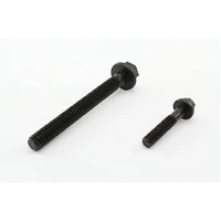 Head Bolts Set (LS1/LS2 01+)