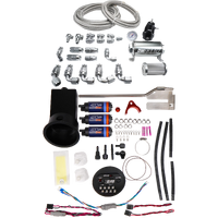 Module with DW420 Pumps + PTFE Plumbing Kit (Silvia 94-02)