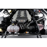 CAI System (Mustang GT 18-21)