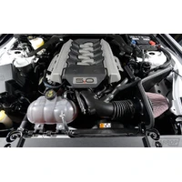 CAI System (Mustang GT 18-21)