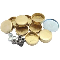 Welsh Plug Kit (Small Block Chevy)