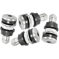 Bolt In Valve Stems - Chrome Finish