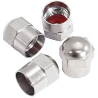 Replacement Valve Caps - Chrome Finish Pack of 4