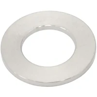 M12 Titanium Large Flat Washer