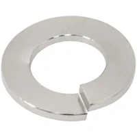 M12 Titanium Spring Washer