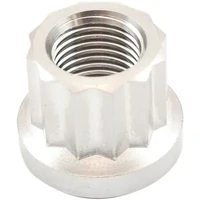 M12 x 1.25mm Titanium 12 Point Nut