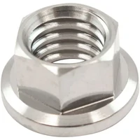 3/8" Titanium Hex Nut