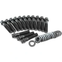 Intake Bolts Black Finish - 14 Pack (Holden V8 253 304 308)