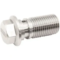 Stainless Steel Banjo Bolt 9/16-18"