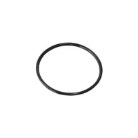 Replacement O-Rings For -AN Cap