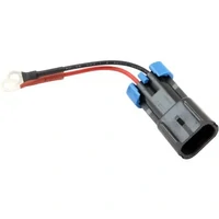 Delphi 2 Pin Conversion Fuel Pump Harness