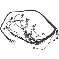 Engine Wiring Harness (K20/Integra DC2 02-04 )