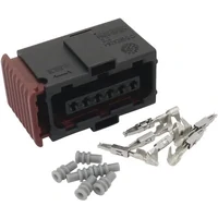 Accelerator Pedal Plug & Pins (Commodore VE/R35 GTR)