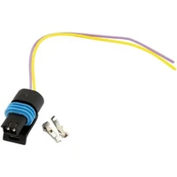 2 Pin Multi Purpose Pigtail Connector - Black (GM)