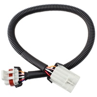 Coil Extension Harness (GM LS1)