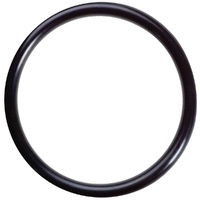 Replacement Oil Pick Up O-Ring (RB25 RB30)