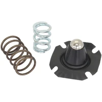 Replacement Spring & Diaphragm