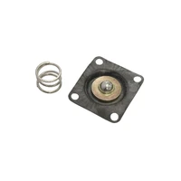 Fuel Pressure Regulator Diaphragm & Spring (AF49-4500/4501)