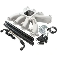 Cathedral Port Carburettor Street Single Plane EFI Intake Manifold (GM LS) - Natural Cast Finish