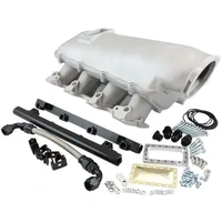 Cathedral Port Low Rise EFI Modular Intake Manifold (GM LS) - Natural Cast Finish
