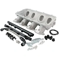 Low Rise Cathedral Port Intake Manifold Base (GM LS EFI) - Natural Cast Finish