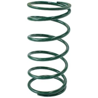 Wastegate Outer Spring - Green (AF9552-1108)
