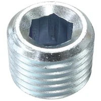 Steel Port Plug - 1/8" BSP