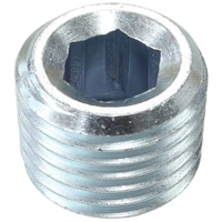 1/8" NPT Port Plug