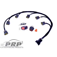 Ford Barra Coil Loom