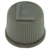 Cap Valve R134A Denso LOW 445021-0020