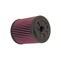 Replacement Air Filter (Audi RS6/RS7 13-18)